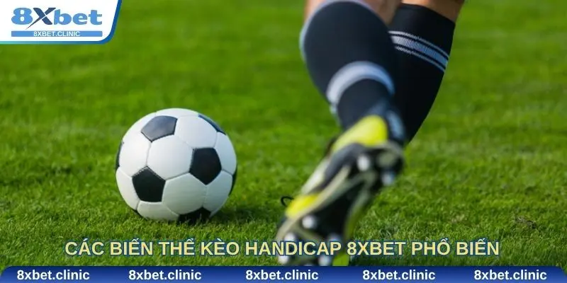 Các biến thể kèo Handicap 8xbet phổ biến và cách áp dụng hiệu quả