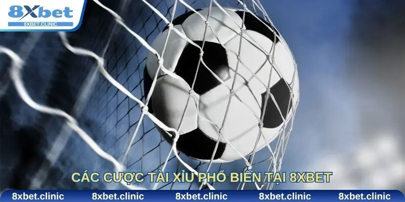 Các cược tài xỉu phổ biến tại 8xbet và cách chọn cửa hiệu quả
