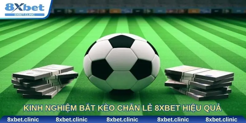 Kinh nghiệm bắt kèo chẵn lẻ 8xbet hiệu quả từ cao thủ cá cược