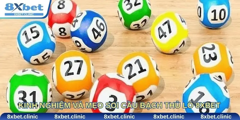 Kinh nghiệm và mẹo soi cầu bạch thủ lô 8Xbet.