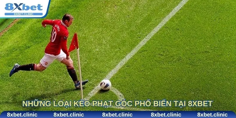 Các loại kèo phạt góc phổ biến tại 8XBET trong cá cược bóng đá